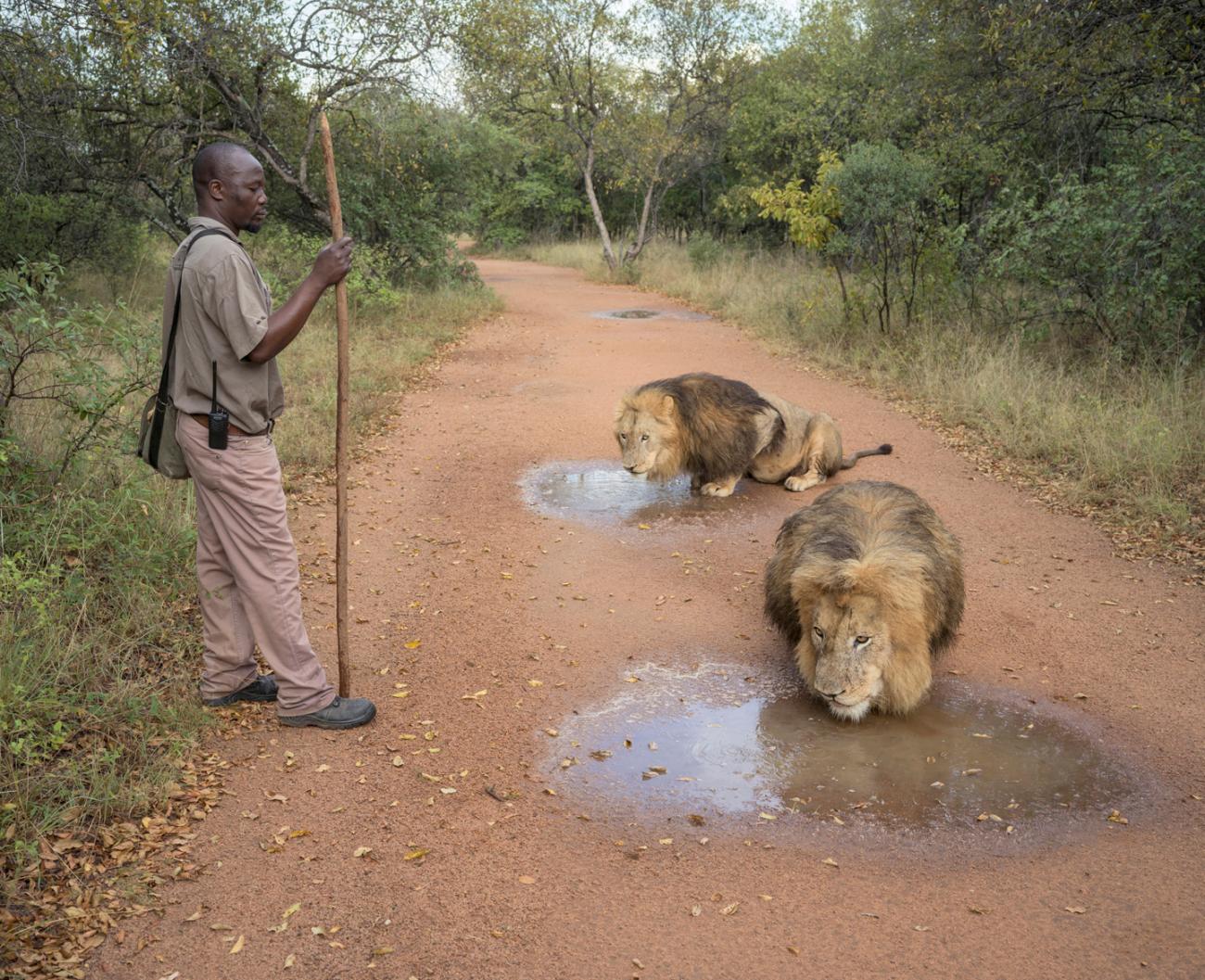 © Zed Nelson, United Kingdom, Finalist, Professional competition, Wildlife & Nature, Sony World Photography Awards 2025