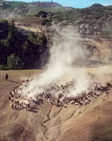 Majestic Charge
