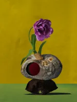 Singularity