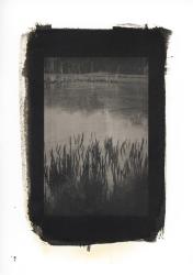 Mangroves