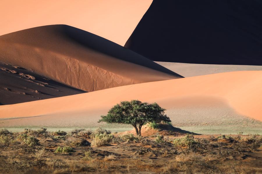 7245013_6614323_0_ © J Fritz Rumpf, United States, Commended, Open Competition, Landscape, 2026 Sony World Photography Awards