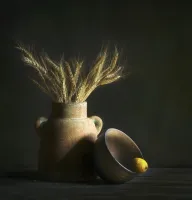 Wheat and Lemon