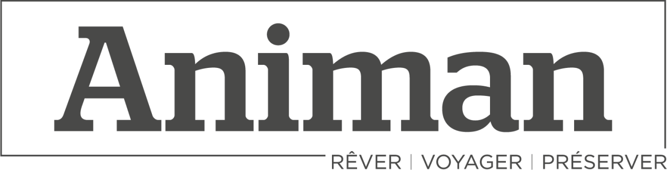 Animan Logo
